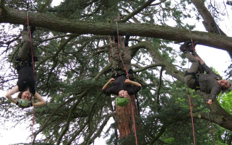 Initiation à la grimpe d’arbre