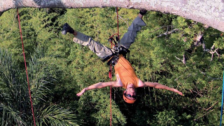 Initiation à la grimpe d’arbre